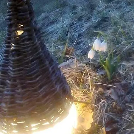 База отдыха Omaya Eco Village Gaytaninovo
