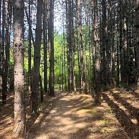 Omaya Eco Village Gaytaninovo