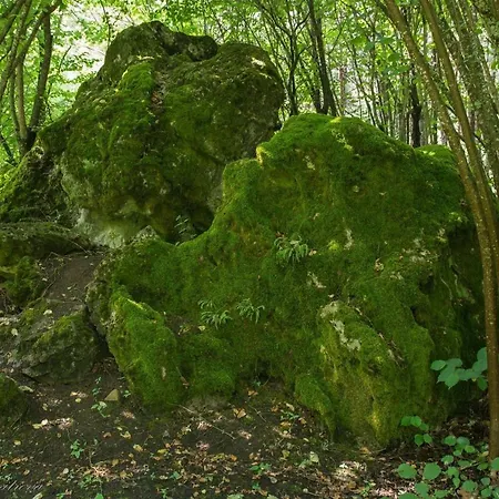 Kompleks wypoczynkowy Omaya Eco Village