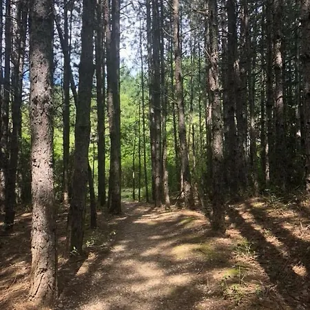 פארק נופש Omaya Eco Village